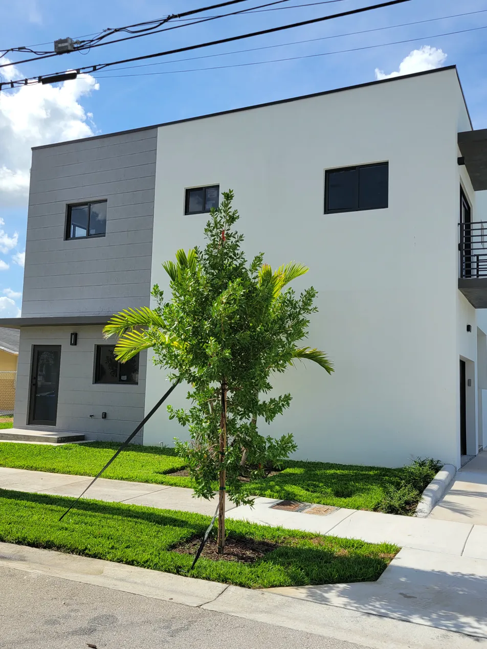 DEM Development South Florida